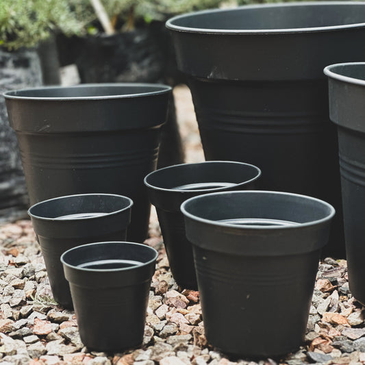 Maceta elho growpot
