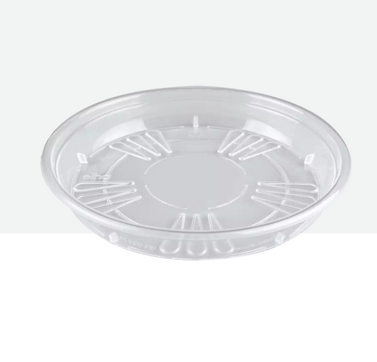 Plato transparente