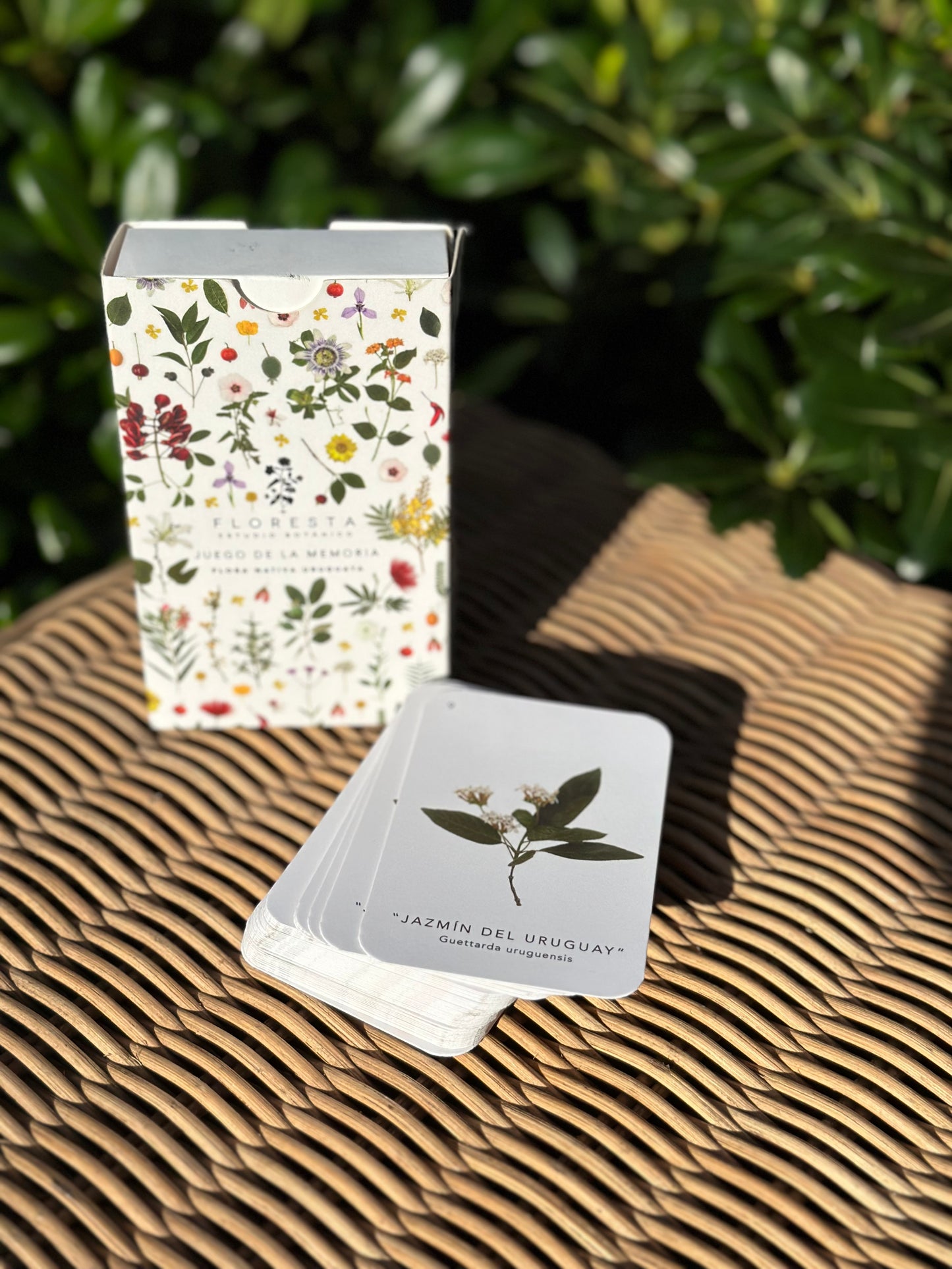 Juego de la Memoria (Colección Flora nativa)
