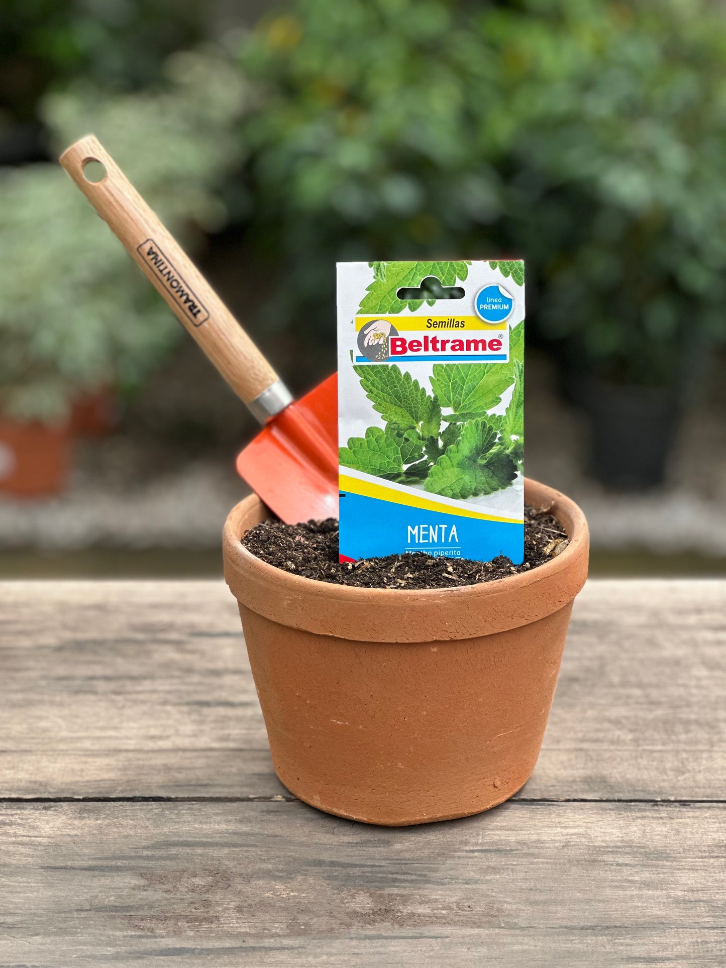 Semillas para huerta