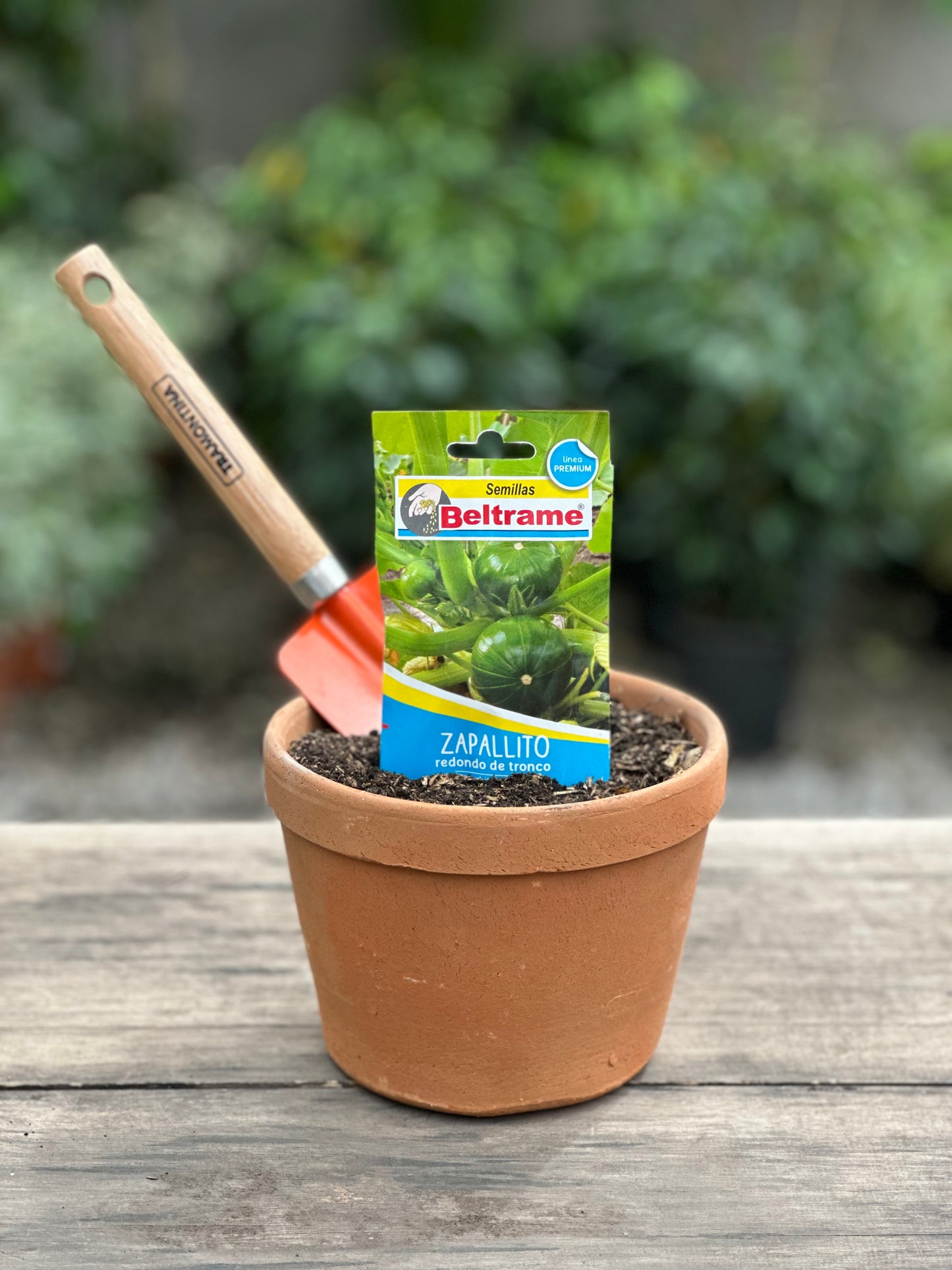 Semillas para huerta