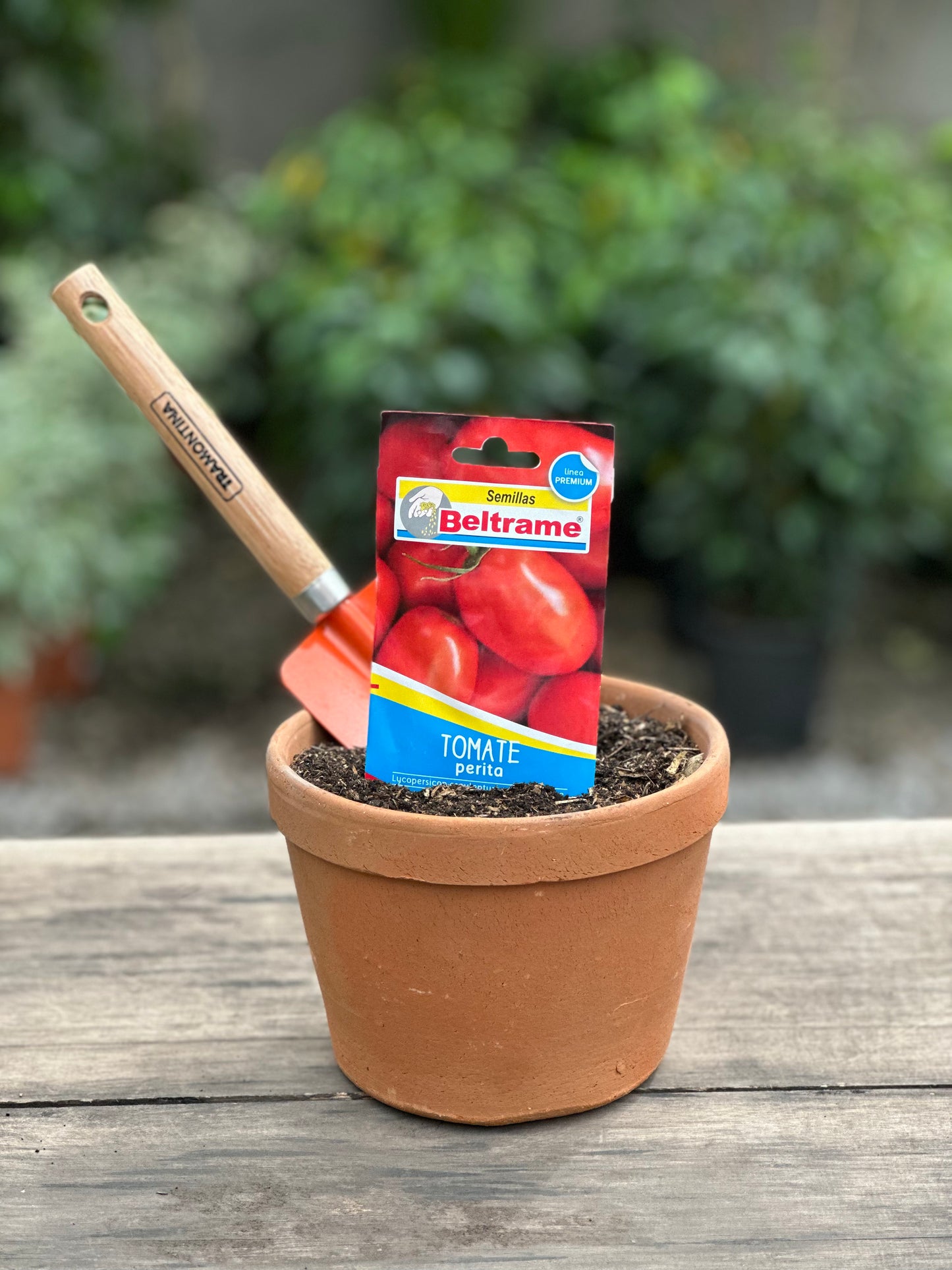Semillas para huerta