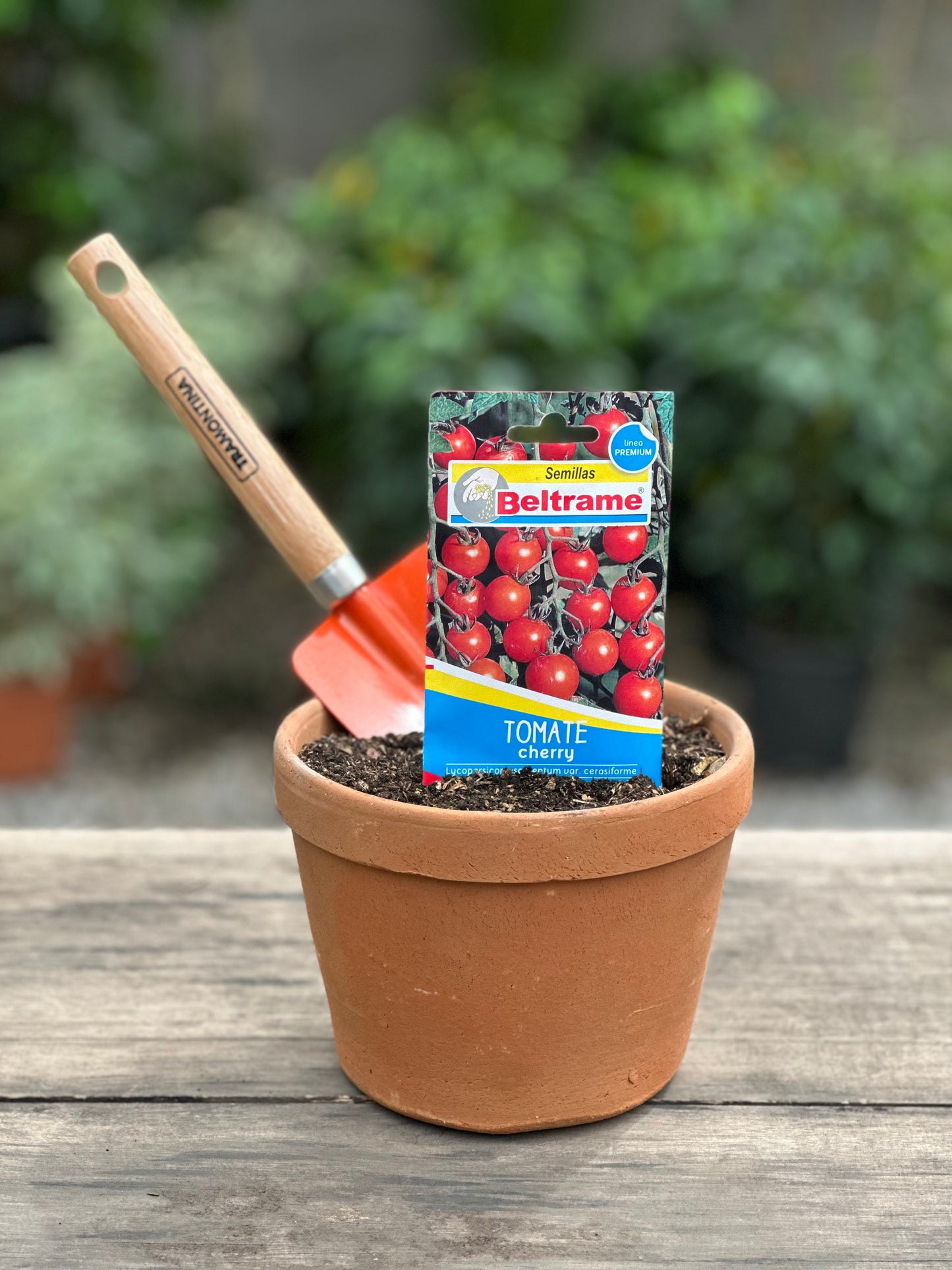 Semillas para huerta