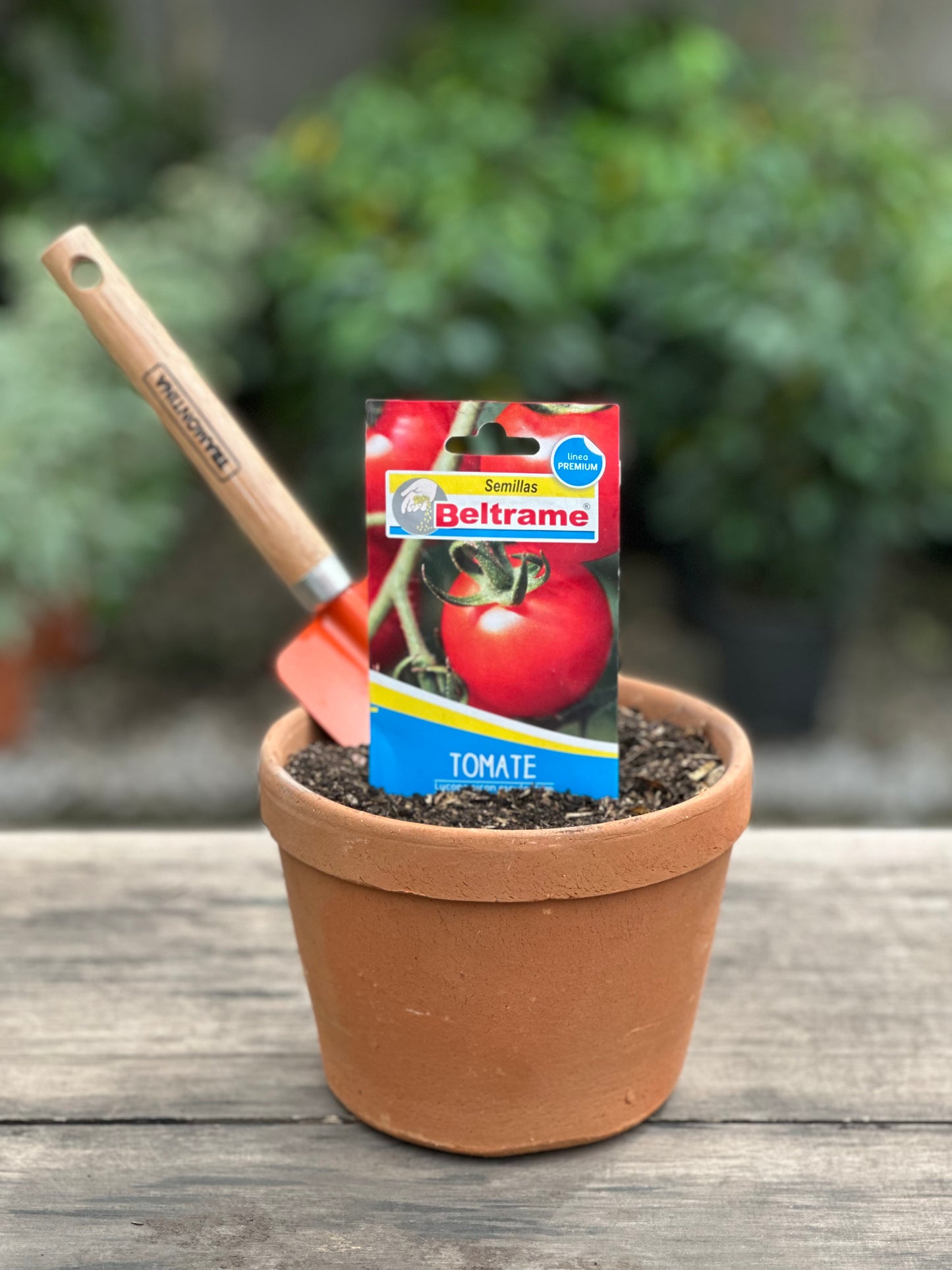 Semillas para huerta