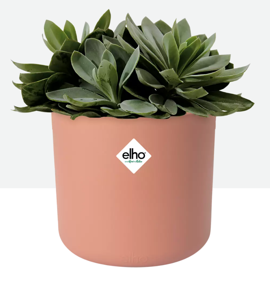 Maceta elho soft round