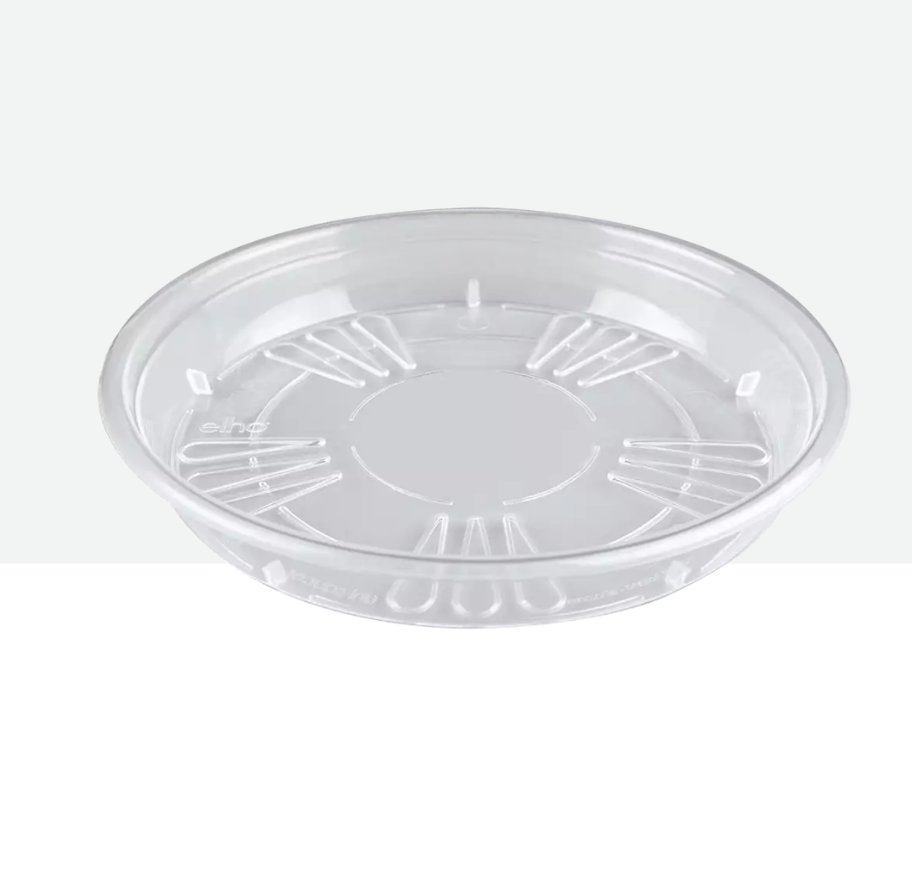 Plato transparente
