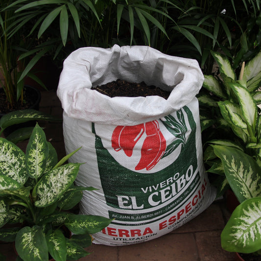 Tierra especial