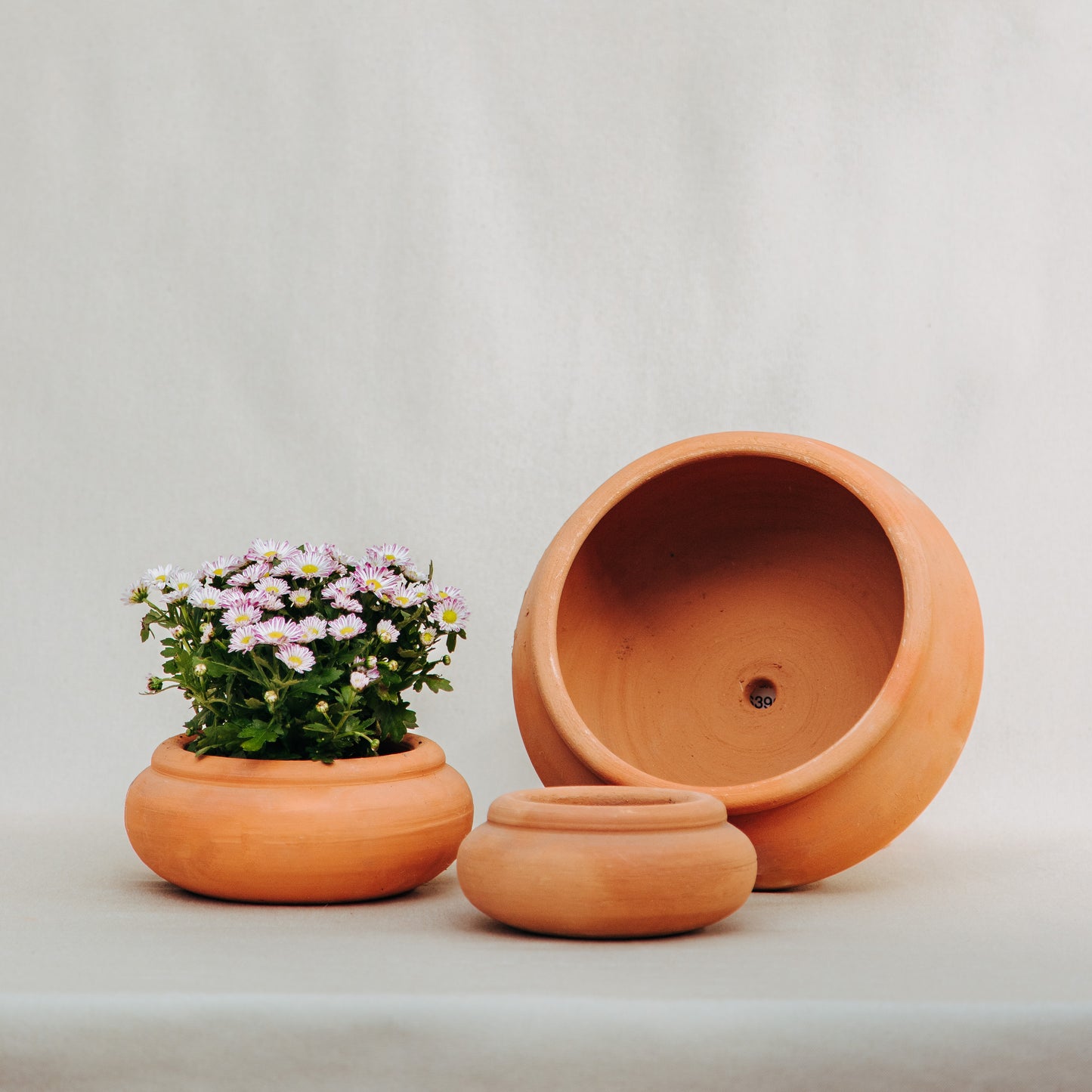 Maceta barro Bowl con borde